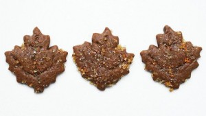 Molasses_Fall_Cookies