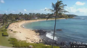 Sheraton Kauai Resort streaming beach cam