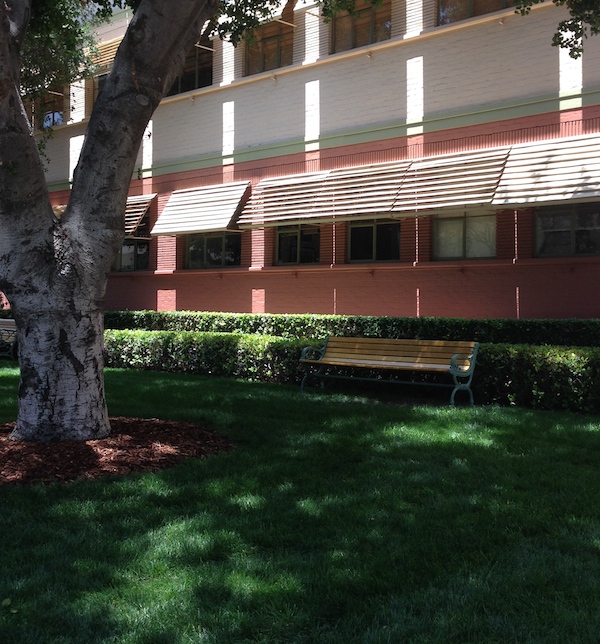 Disney-studios