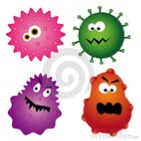 cold & flu season