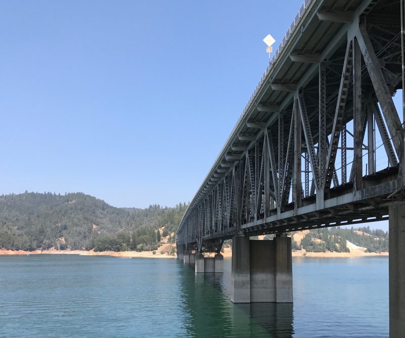 Shasta on the way to Disneyland road trip